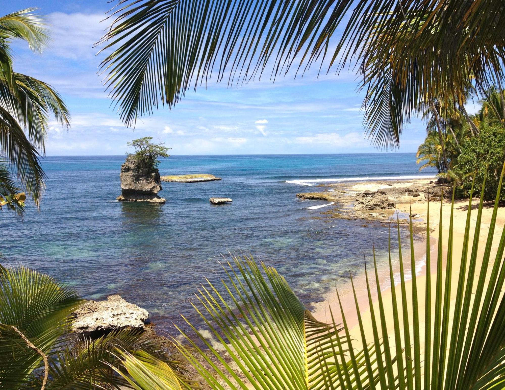 Physis Caribbean Bed & Breakfast Puerto Viejo de Talamanca Kültér fotó