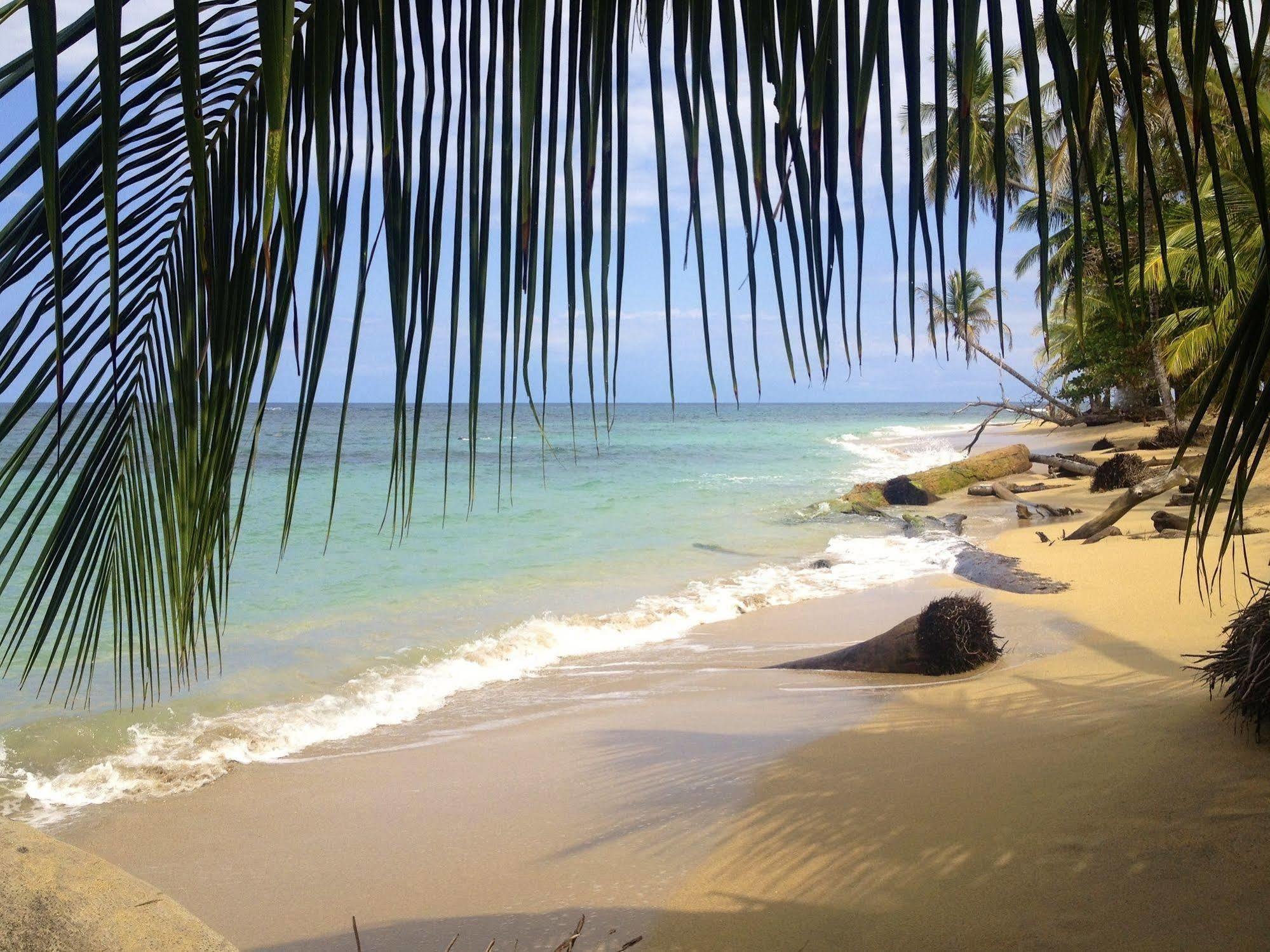 Physis Caribbean Bed & Breakfast Puerto Viejo de Talamanca Kültér fotó