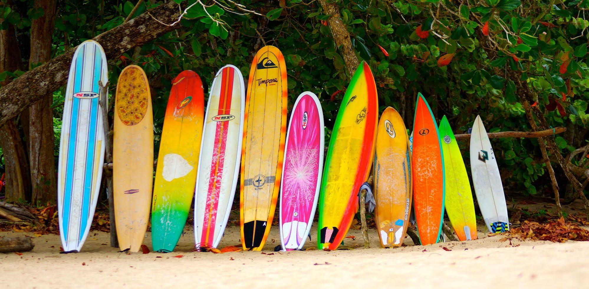 Physis Caribbean Bed & Breakfast Puerto Viejo de Talamanca Kültér fotó